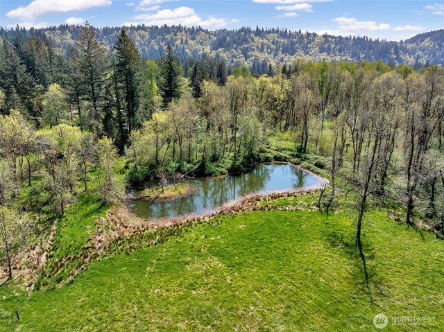 1352 Buhman Rd, Washougal, WA 98671 - photo 32