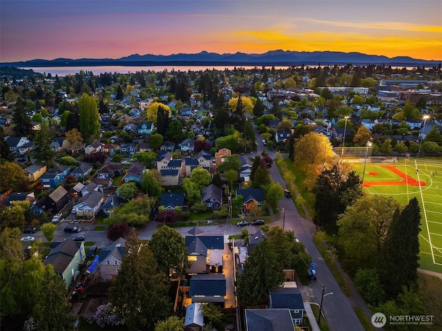 7356 21st Ave NW, Seattle, WA 98117 - bird's eye view with a residential view and a mountain view