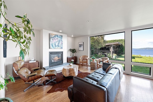 living area with a glass covered fireplace, a water view, recessed lighting, and wood finished floors