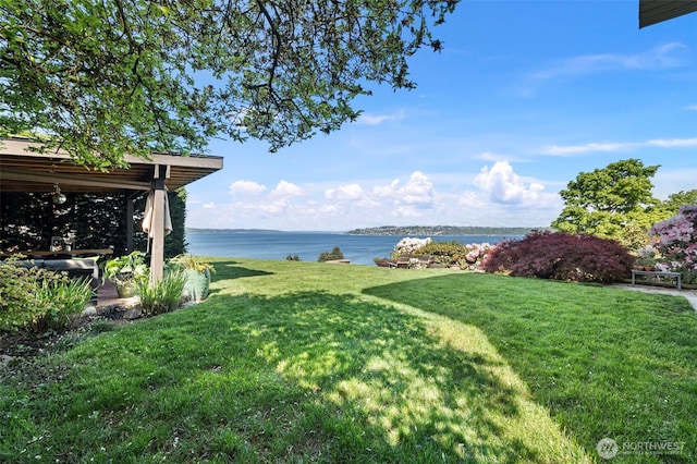 view of yard with a water view