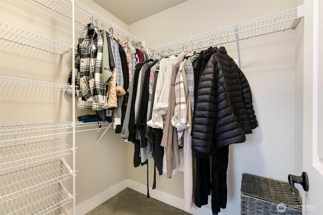 walk in closet featuring carpet