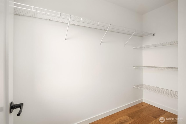 8018 24th Ave NW, Seattle, WA 98117 - walk in closet with wood finished floors