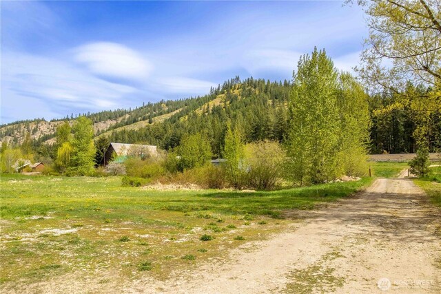 14905 Chumstick Hwy, Leavenworth, WA 98826 - photo 22