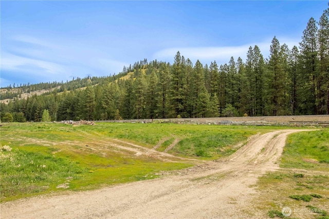 14905 Chumstick Hwy, Leavenworth, WA 98826 - photo 30