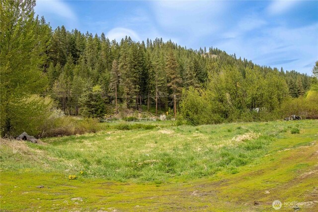 14905 Chumstick Hwy, Leavenworth, WA 98826 - photo 31