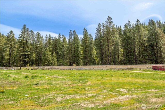 14905 Chumstick Hwy, Leavenworth, WA 98826 - photo 35