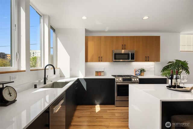 kitchen featuring light countertops, tasteful backsplash, a sink, light wood-style flooring, and stainless steel appliances