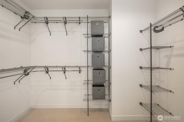 view of spacious closet