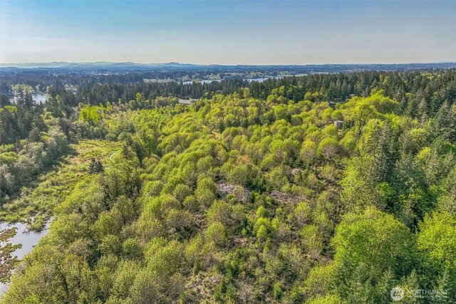 5647 Black Lake Blvd SW, Olympia, WA 98512 - photo 5