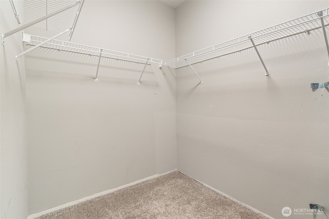 17610 134th Ln SE, Renton, WA 98058 - walk in closet with carpet flooring