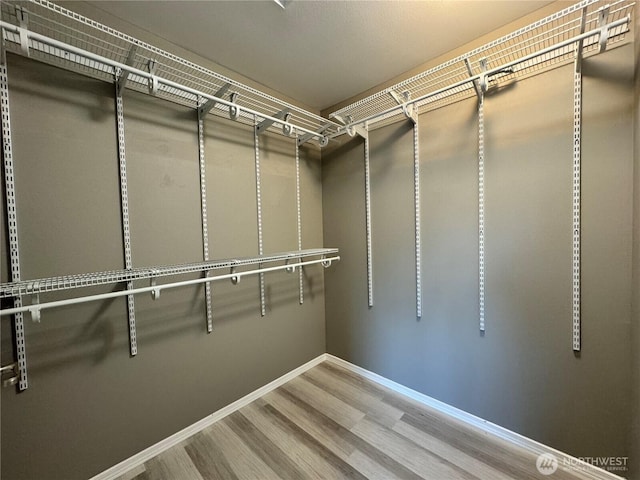 walk in closet featuring wood finished floors