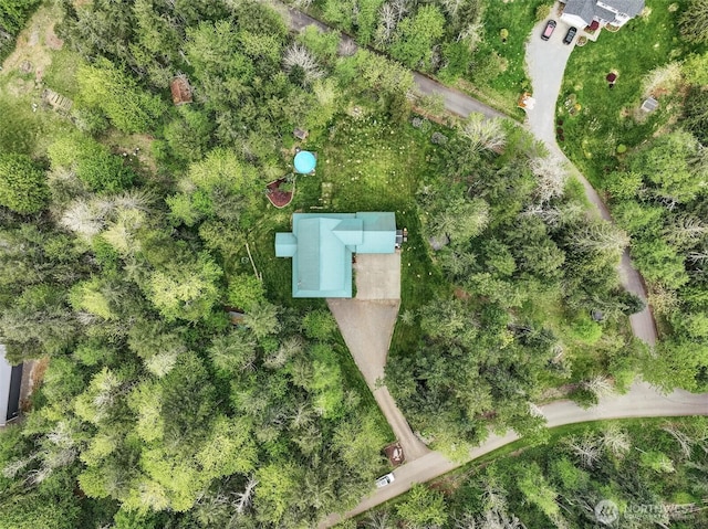 17132 156th Ln SE, Yelm, WA 98597 - drone / aerial view