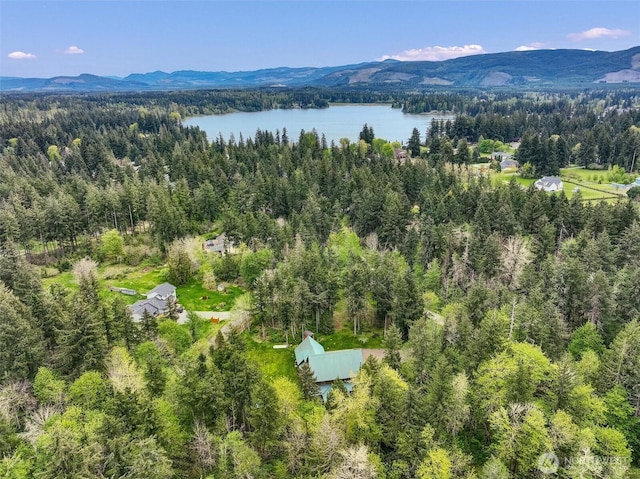 17132 156th Ln SE, Yelm, WA 98597 - birds eye view of property with a water and mountain view and a wooded view