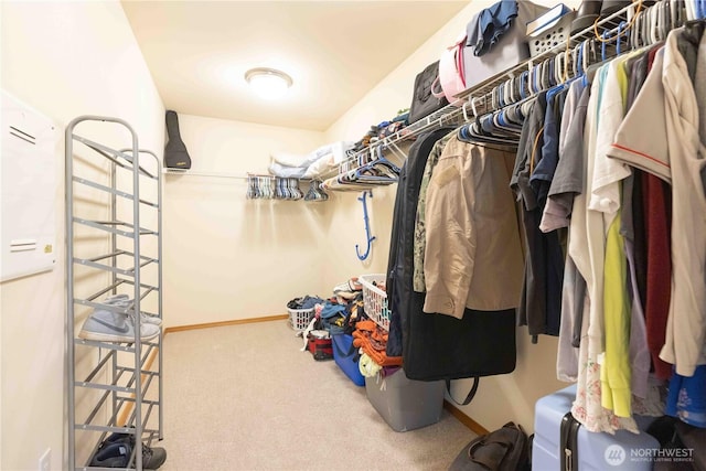 walk in closet with carpet floors