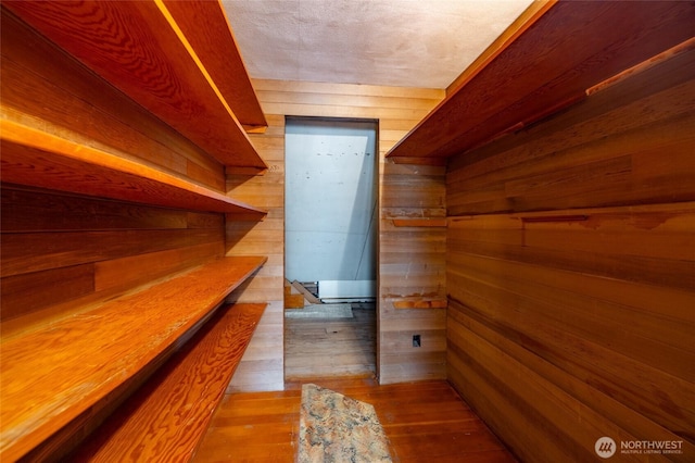 walk in closet featuring wood finished floors