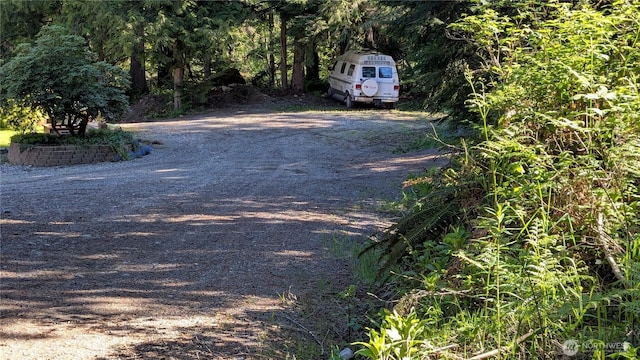 52305 Stahmer Pl S, Index, WA 98256 - view of street