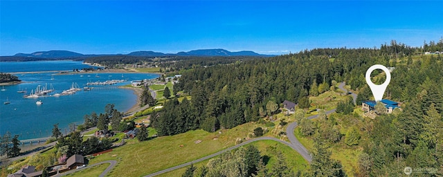 268 Rum Runner Rd, Lopez Island, WA 98261 - photo 3