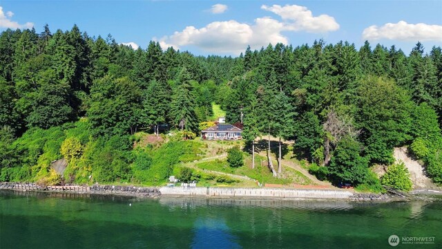 28812 125th Pl SW, Vashon, WA 98070 - photo 36