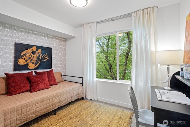 bedroom with baseboards and carpet flooring