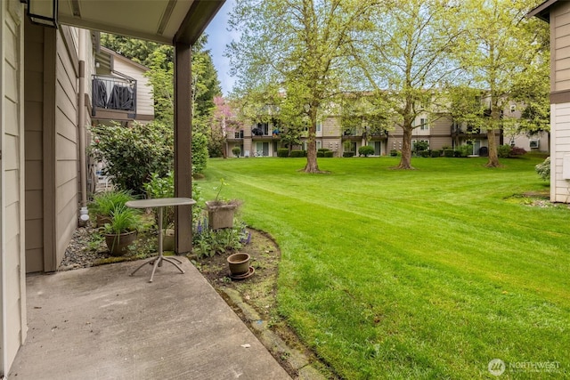 12621 NE 130th Way # D106, Kirkland, WA 98034 - view of yard featuring a patio area