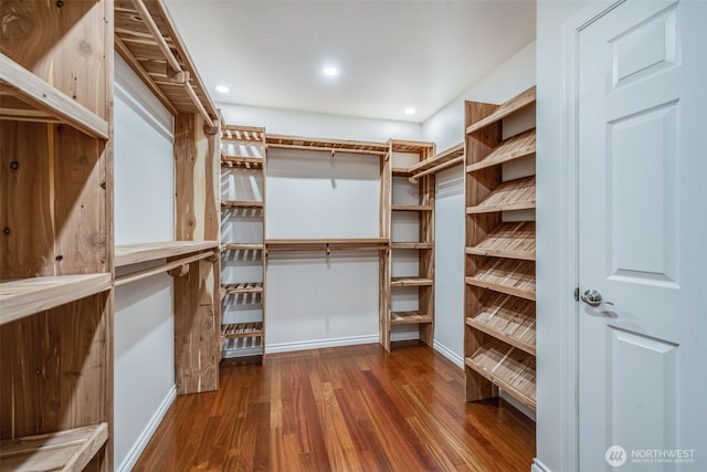 walk in closet featuring dark wood-type flooring