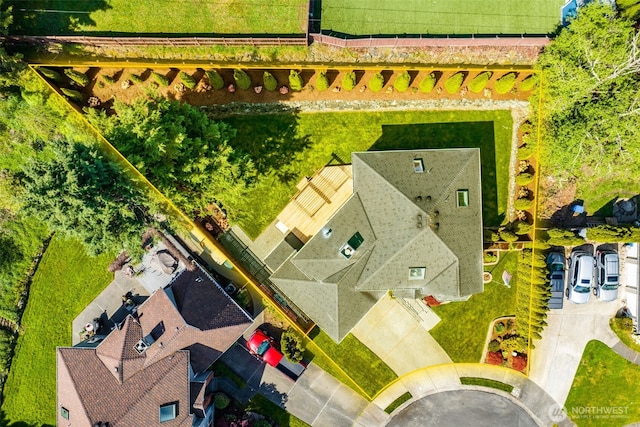 drone / aerial view