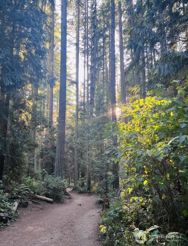 view of landscape featuring a forest view