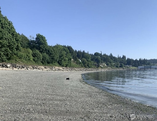 water view featuring a forest view