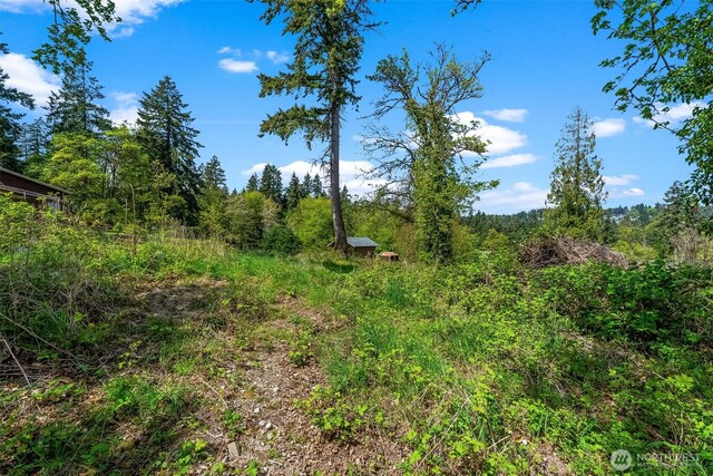 14308 Olalla Crest Ln SE, Olalla, WA 98359
