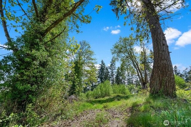 14308 Olalla Crest Ln SE, Olalla, WA 98359