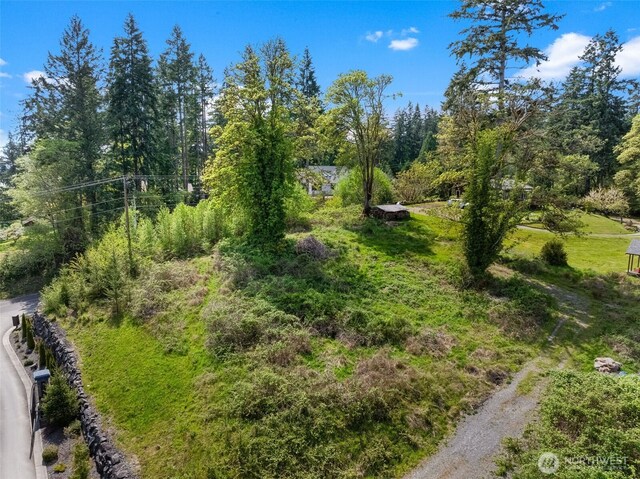 14308 Olalla Crest Ln SE, Olalla, WA 98359