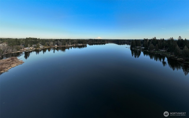 property view of water