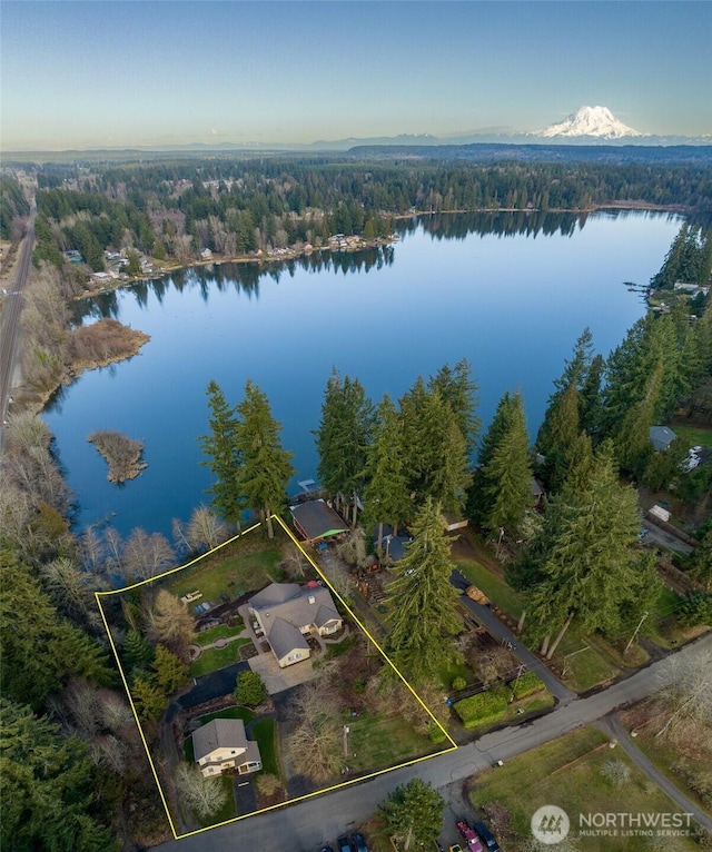 drone / aerial view with a view of trees and a water view
