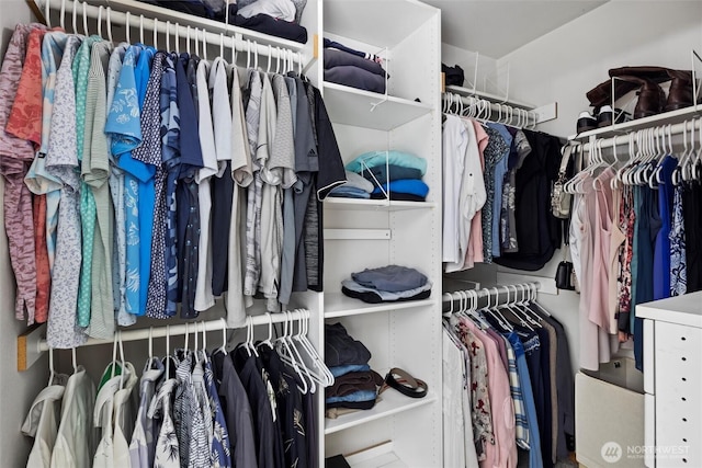 view of walk in closet