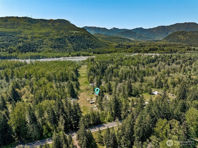 20108 State Route 706 E, Elbe, WA 98330 - photo 4
