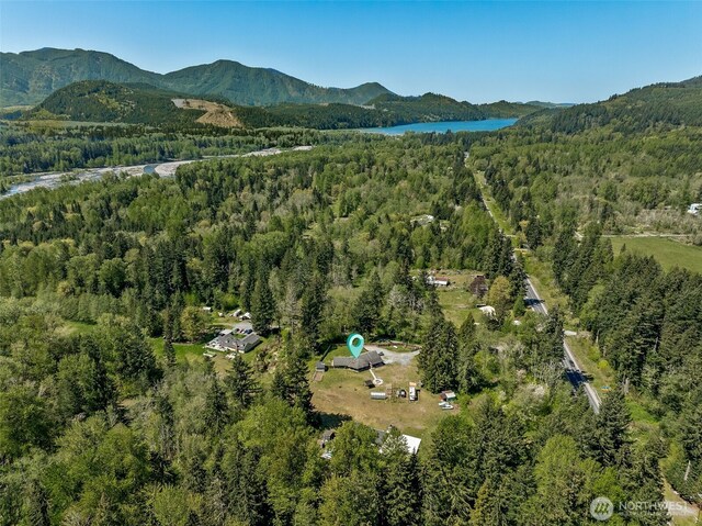 20108 State Route 706 E, Elbe, WA 98330 - photo 5