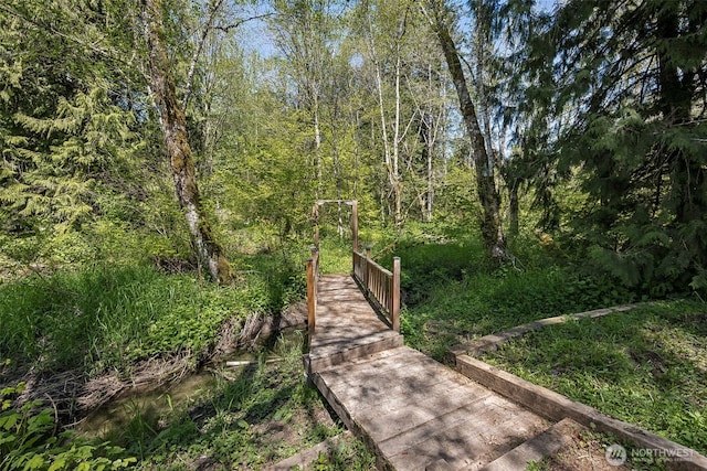 20108 State Route 706 E, Elbe, WA 98330 - photo 7