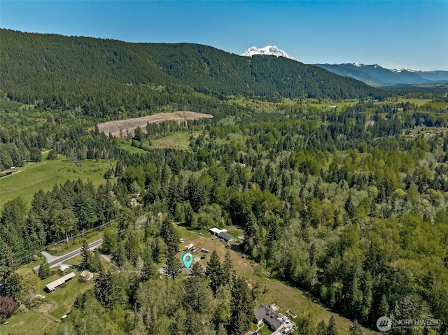 20108 State Route 706 E, Elbe, WA 98330 - photo 32