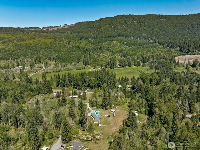 20108 State Route 706 E, Elbe, WA 98330 - photo 35