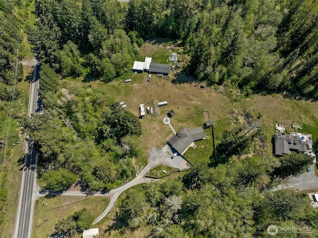 20108 State Route 706 E, Elbe, WA 98330 - photo 36