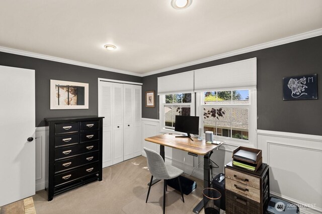 carpeted office space featuring crown molding, wainscoting, and a decorative wall