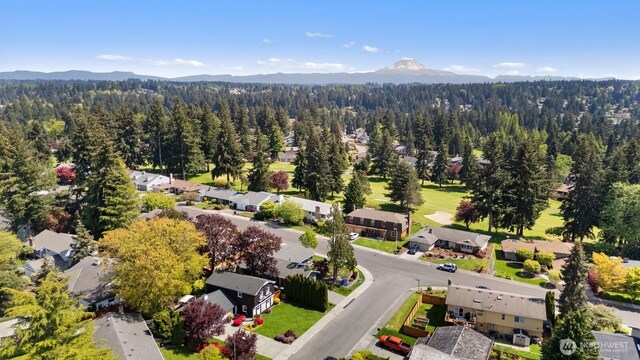 bird's eye view featuring a view of trees, a residential view, and a mountain view