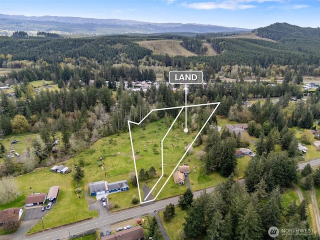 443 W Elma Hicklin Rd, Mccleary, WA 98557