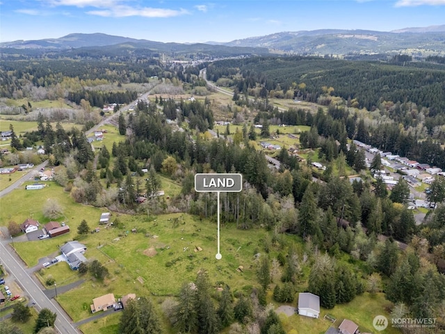 443 W Elma Hicklin Rd, Mccleary, WA 98557