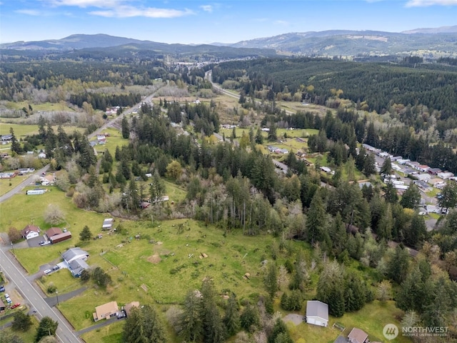 443 W Elma Hicklin Rd, Mccleary, WA 98557