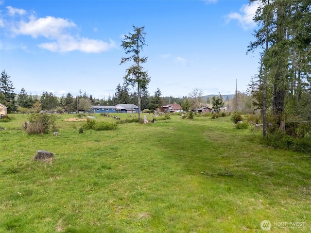 443 W Elma Hicklin Rd, Mccleary, WA 98557