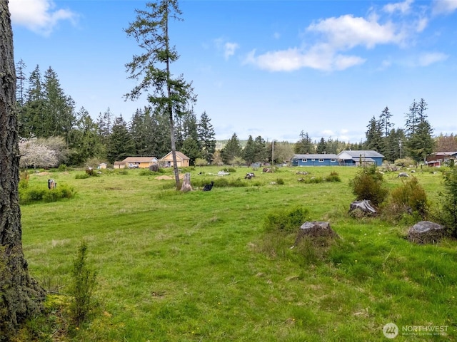 443 W Elma Hicklin Rd, Mccleary, WA 98557