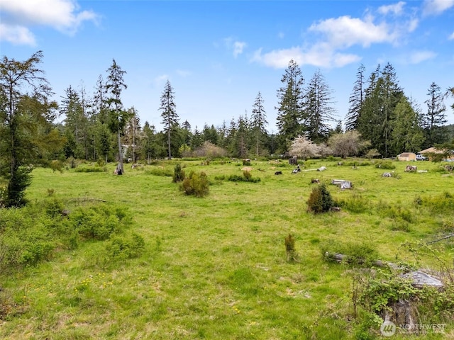 443 W Elma Hicklin Rd, Mccleary, WA 98557