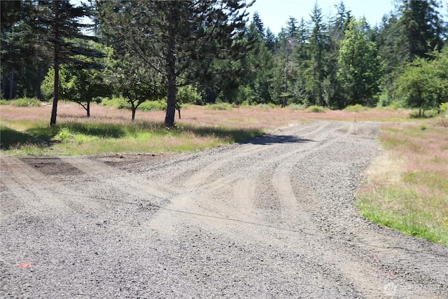 443 W Elma Hicklin Rd, Mccleary, WA 98557