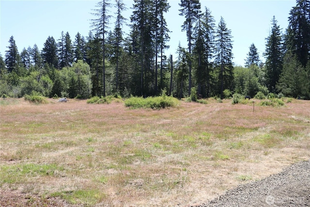 443 W Elma Hicklin Rd, Mccleary, WA 98557